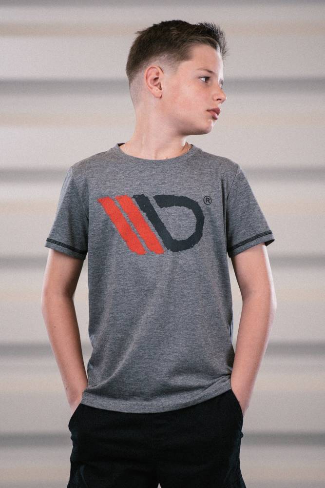 Kids Gray T-shirt