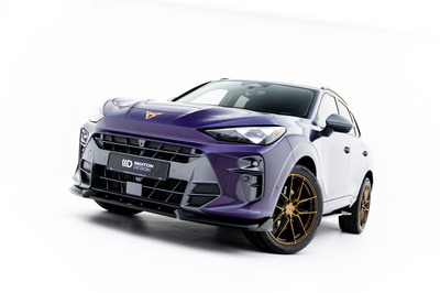 Front Diffusor V.1 Cupra Terramar Mk1