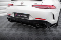 Hinten Splitter (mit einem vertikalem balken) Mercedes-AMG GT 43 4 Door Coupe V8 Styling Package X290