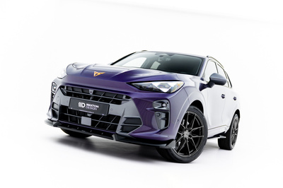 Diffusor Satz V.1 Cupra Terramar Mk1