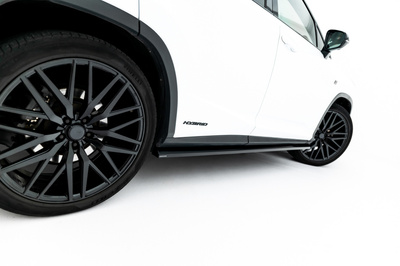 Diffusor Satz Lexus RX F-Sport Mk4 Facelift